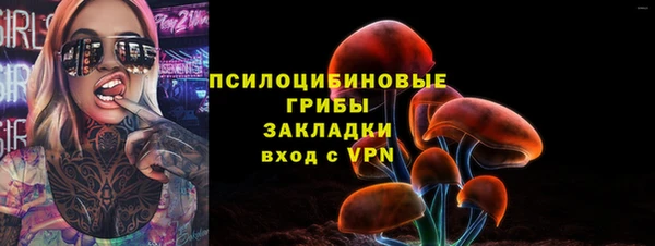 спайс Корсаков