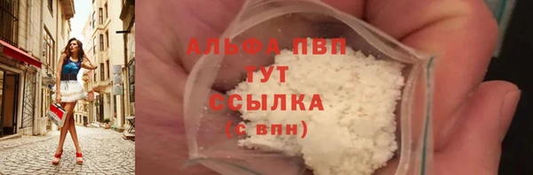 спайс Корсаков