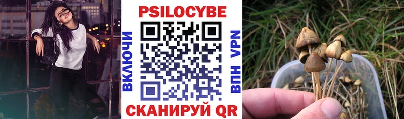 Купить где  Кирс  Псилоцибиновые грибы мицелий 